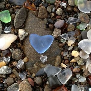 Meet your Posher, Lhp